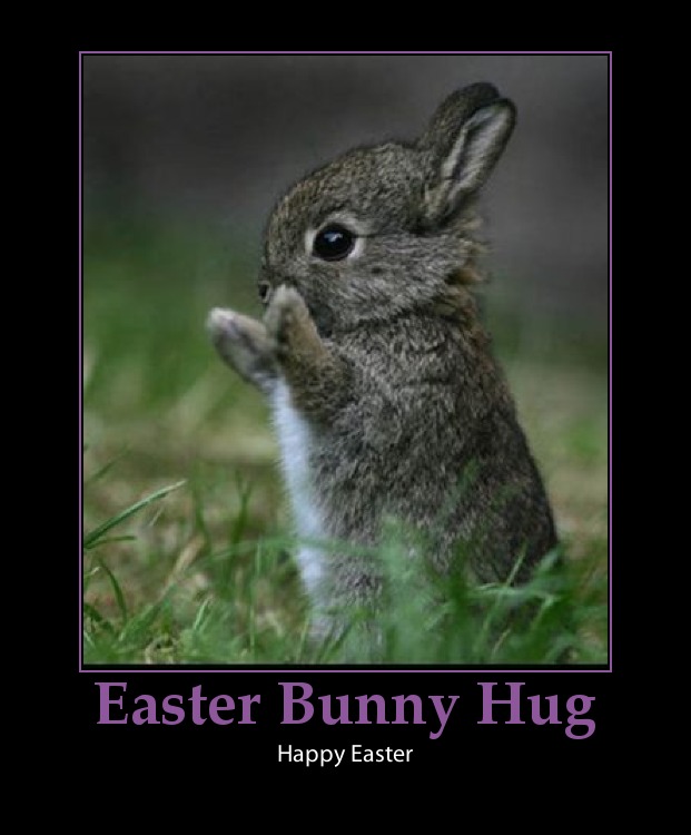 easter Funny bunny happy