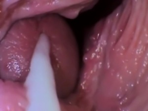 the Vagina penis grip