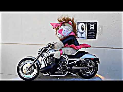 riding skirt a mini in Women motorcycles