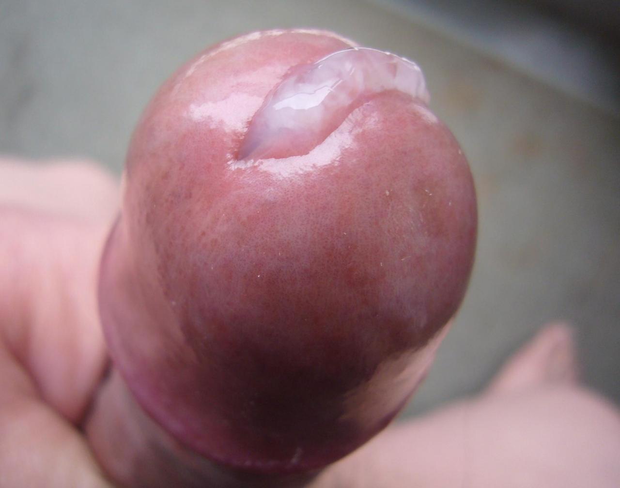 Images Showing For Free Close Up Cock Ejaculating