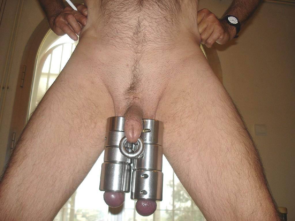 ball piercing torture and Cock